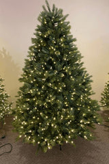 7' Ultra-Lit LED Lisbon Fir Clear