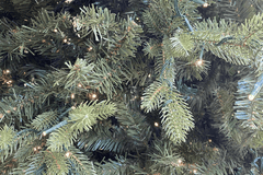 11' Ultra-Lit LED 3MM Remson Mountain Fir Dual Lit