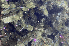 11' Ultra-Lit LED 3MM Remson Mountain Fir Dual Lit