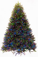 7' Ultra-Lit LED 3MM Stonington Fir Dual Lit