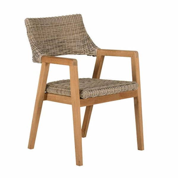 kingsley bate spencer dining arm chair willow