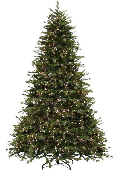 Plymouth Fir Dual Lit 3mm LED Clear and Multi Color Lights Multi-Function Artificial Christmas Tree