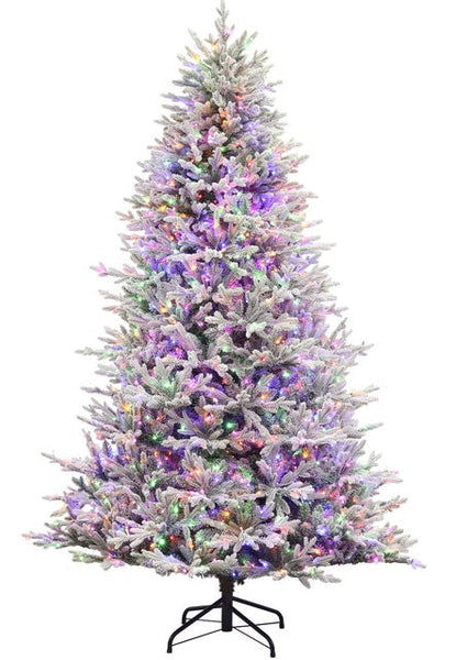 Wolcott Spruce Flocked Dual Lit 3MM LED Clear and Multi Color Lights Multi Function Artificial Christmas Tree